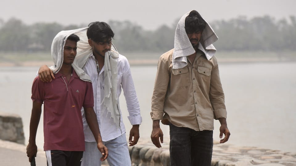 पंजाब में भीषण गर्मी
