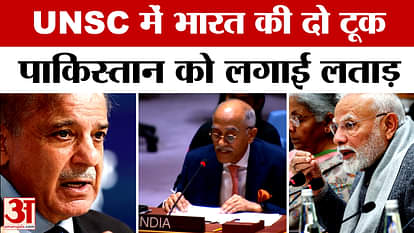 India Pakistan Conflict: India reprimanded Pakistan in UNSC