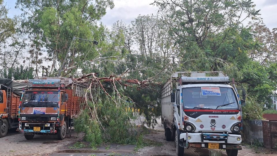 Delhi Weather Forecast Today: Heavy Rain in Delhi-NCR, waterlogging in many areas