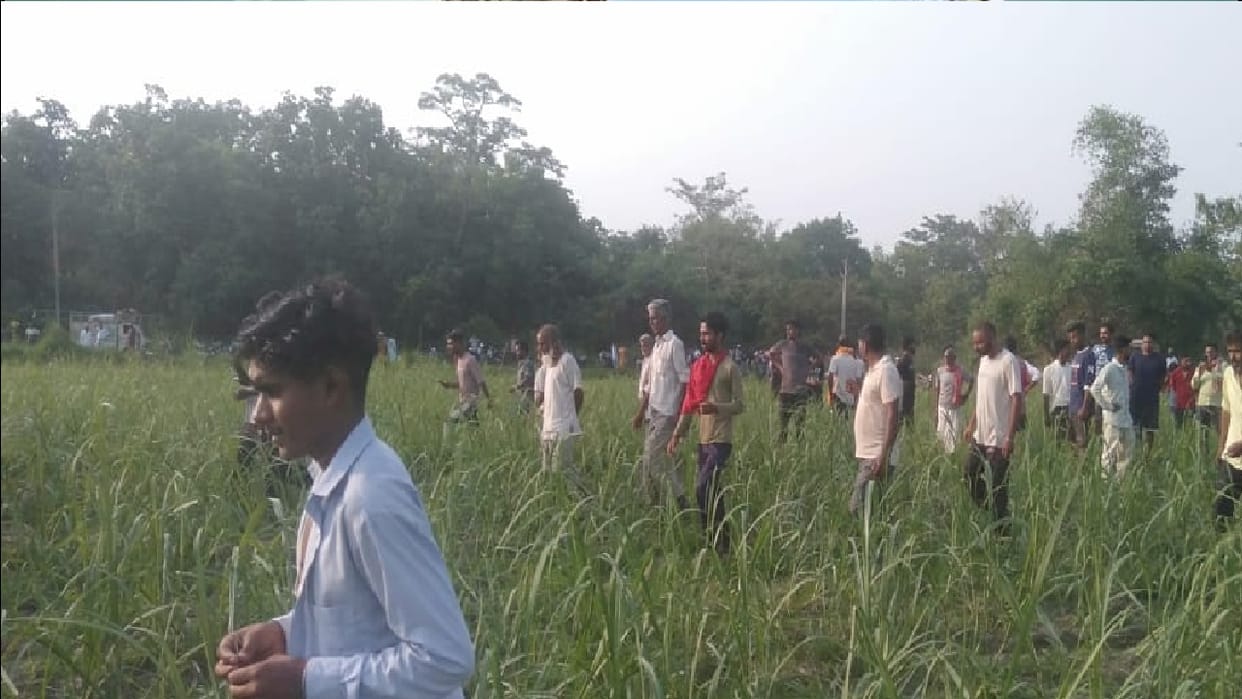 Tiger kills woman working in field in Pilibhit