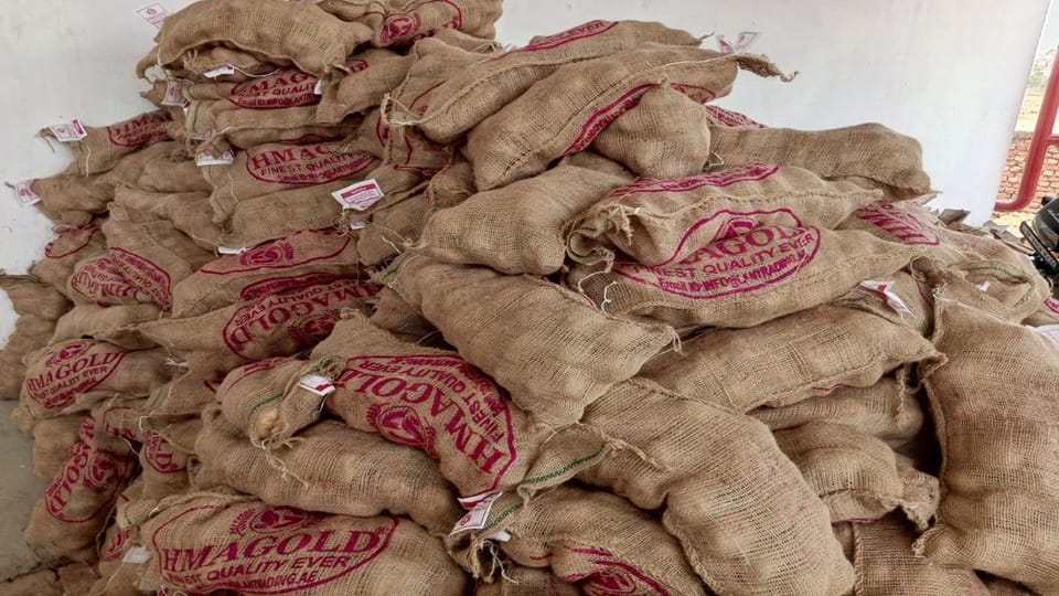 Sadabad potato meets international standards