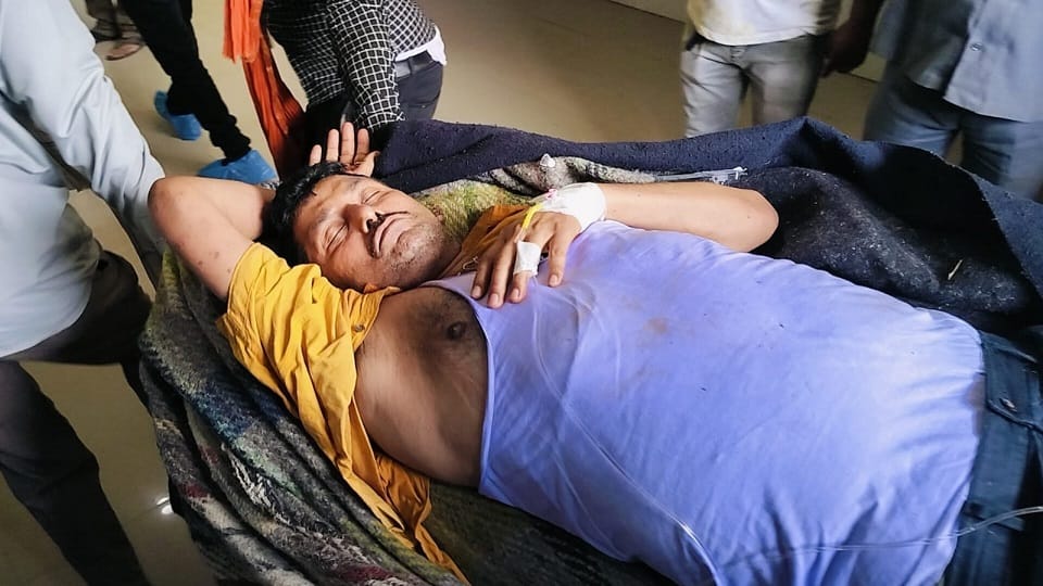 UP: Bees attack officials who reached Devgarh, CDO unconscious