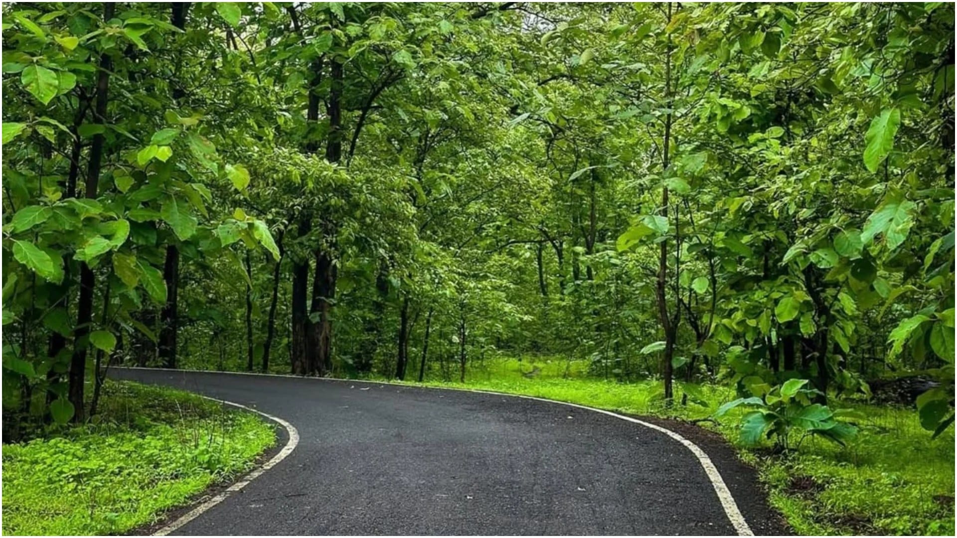 Summer Vacation Places in Karnataka Never Feel Heat Know About Locations Details