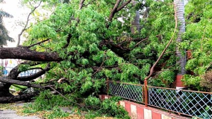 Meerut Weather Forecast Update Today: Rains Bring Relief from Heat, But Damage Vine Crops in Western UP