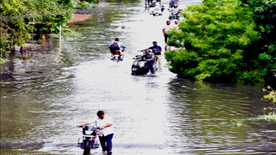 Meerut Weather Forecast Update Today: Rains Bring Relief from Heat, But Damage Vine Crops in Western UP