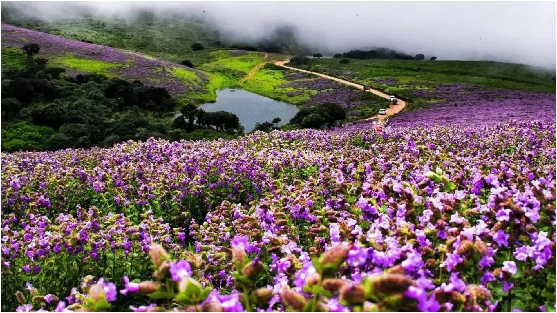 Summer Vacation Places in Karnataka Never Feel Heat Know About Locations Details