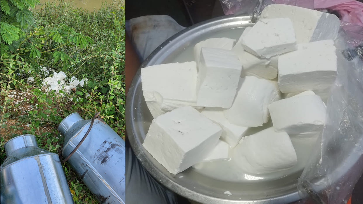 In Gorakhpur, Cheese with Khajni powder caught in Khalilabad, Action by Food and Drug Administration