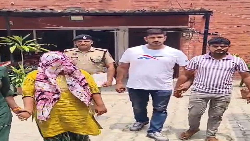 Panipat Police recovered 25 kg of ganja