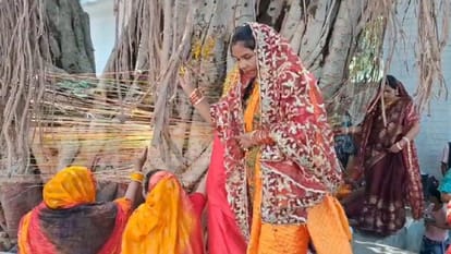 women kept fast on Jyeshtha Amavasya prayed to Banyan tree and wished for long life of their husband