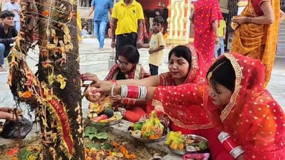 women kept fast on Jyeshtha Amavasya prayed to Banyan tree and wished for long life of their husband