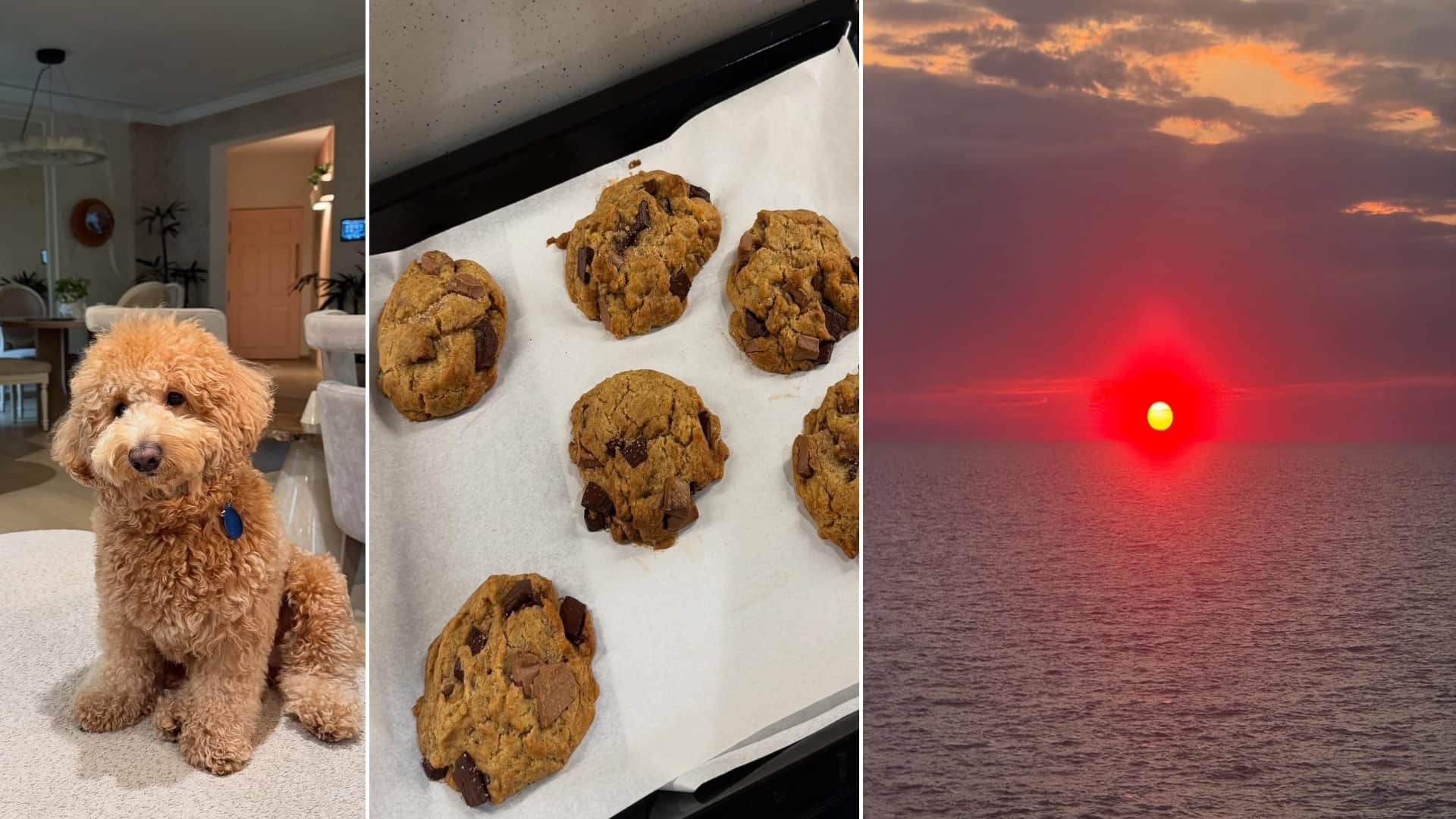 ananya panday share latest post with alana son river says Some of meeee and some of the world around me