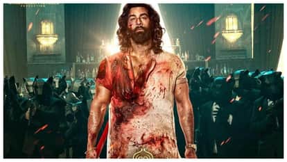From Kabir Singh To Animal Ranveer Singh Has Rejected These 5 Films Before Don 3