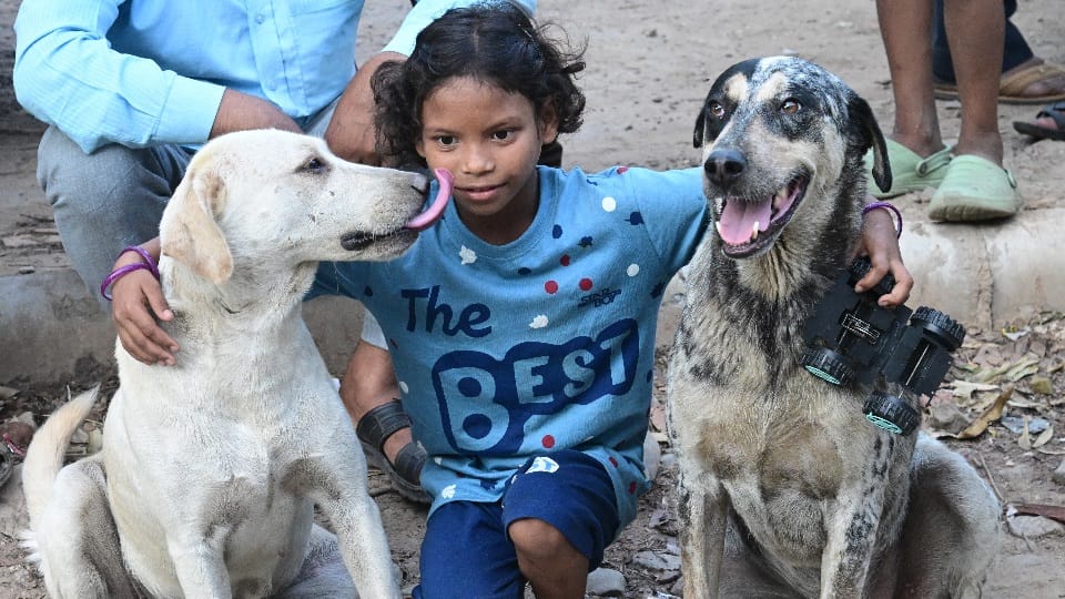 Janaki and dogs friendship has won hearts in chandigarh