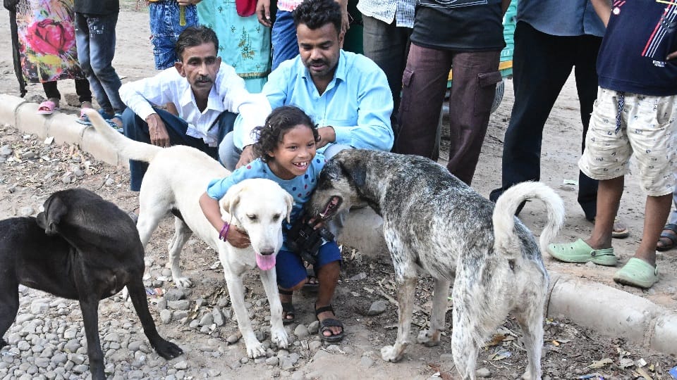 Janaki and dogs friendship has won hearts in chandigarh
