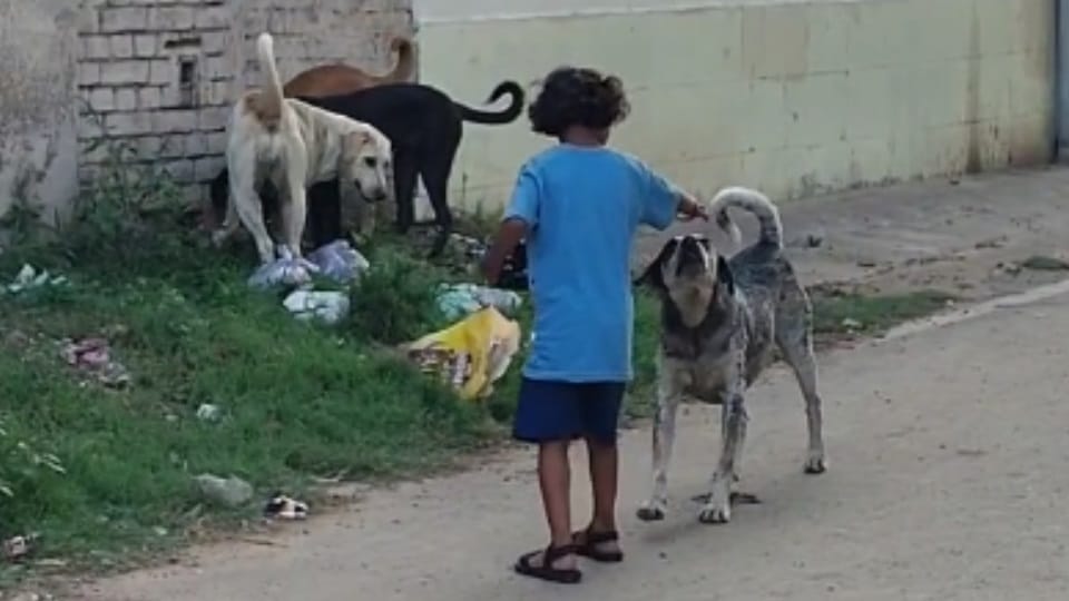 Janaki and dogs friendship has won hearts in chandigarh