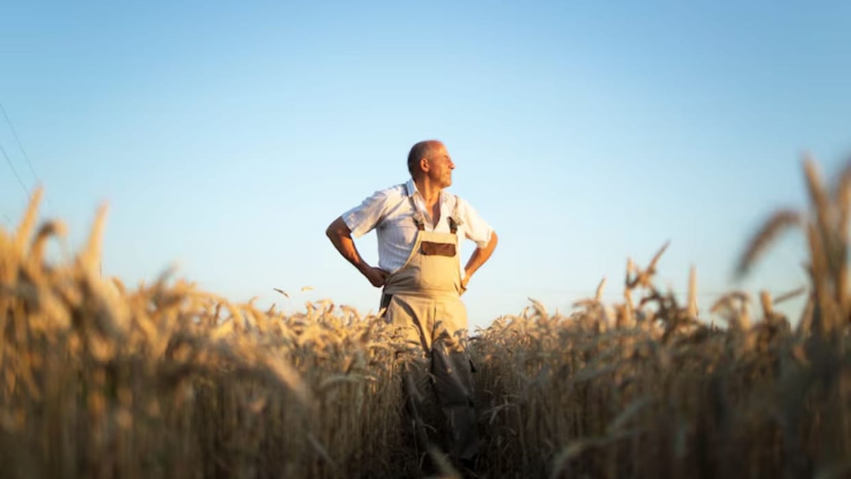 70% of Europe's farmers are deprived of weather disaster insurance protection