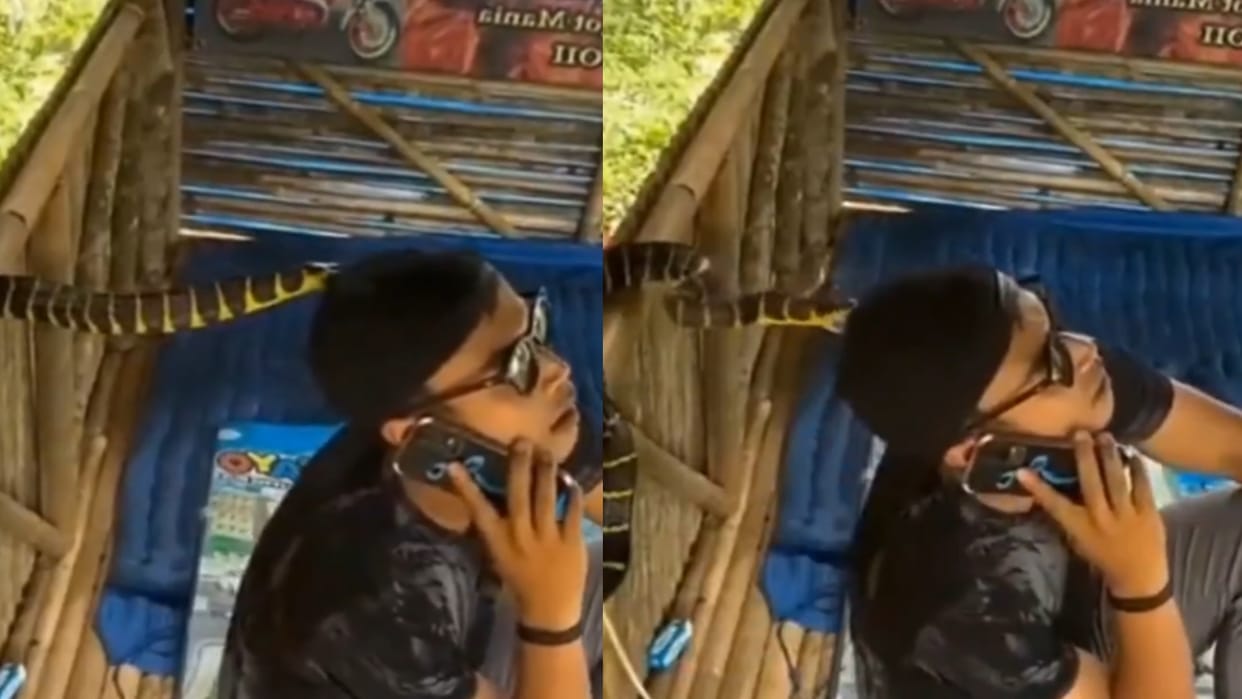 Snake Video Viral Snake Try To Bite Man But Watch How His Cap Saves Him Video Goes Viral