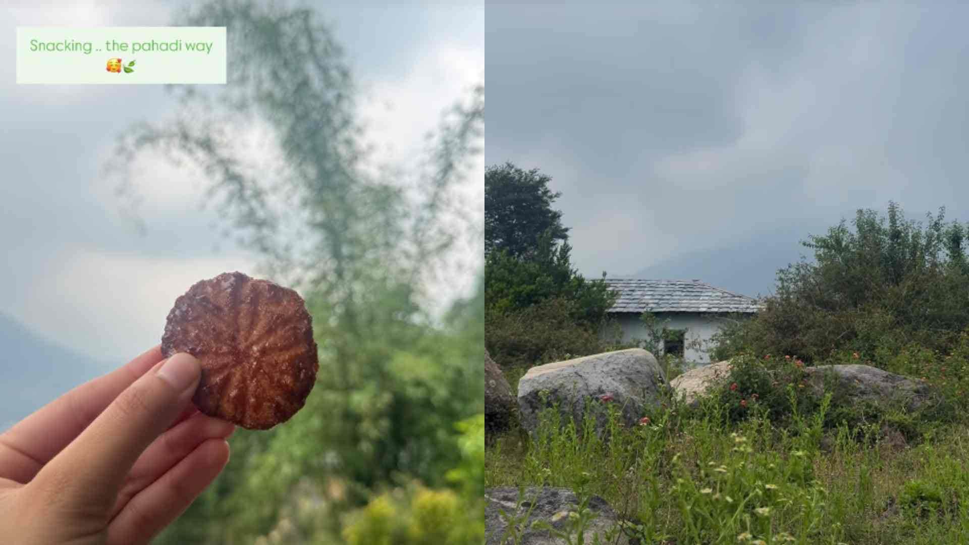 actress Triptii Dimri enjoying vacation after got sign in Movie Spirit says My pahadi heart is full today