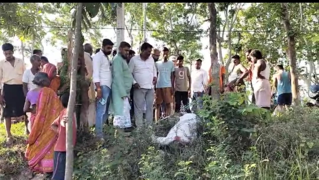 Bihar News: Teacher murdered in Darbhanga: Criminals shot him Bihar Police investigation