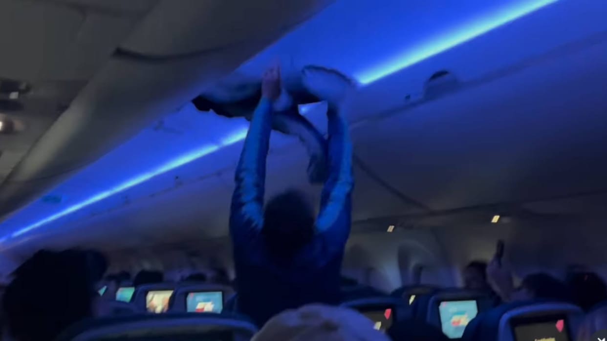 A pigeon entered the flight and created a lot of commotion passengers everyone trying to catch it video viral