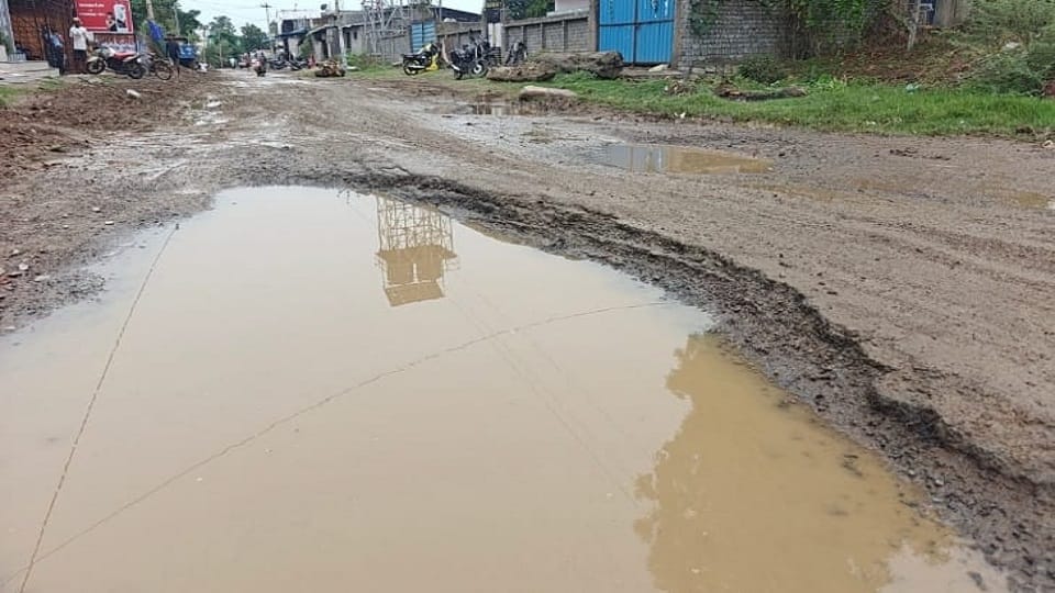 Jarve village adjacent to the district headquarters is yearning for basic facilities in Janjgir-Champa