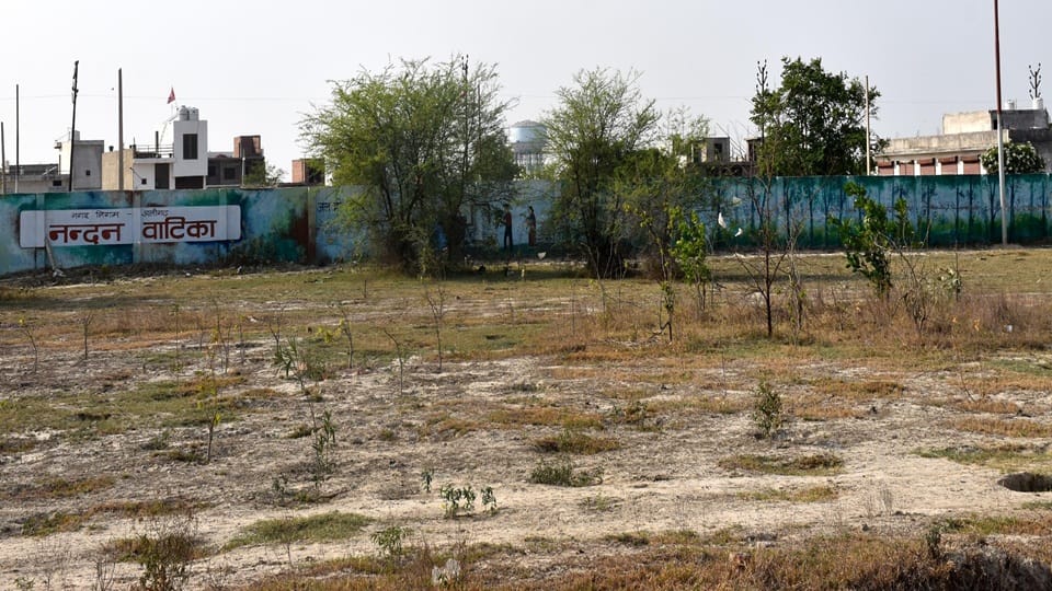 Condition of plants in Aligarh Nandan Vatika