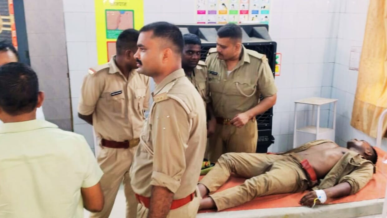 After Devgarh now bees attack mirzapur district 55 trainee forest guards stung many fainted four referred
