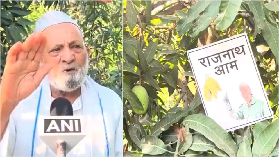 Padma Shri Haji Kalimullah Khan dedicates a new variety of mango to Defence Minister Rajnath Singh