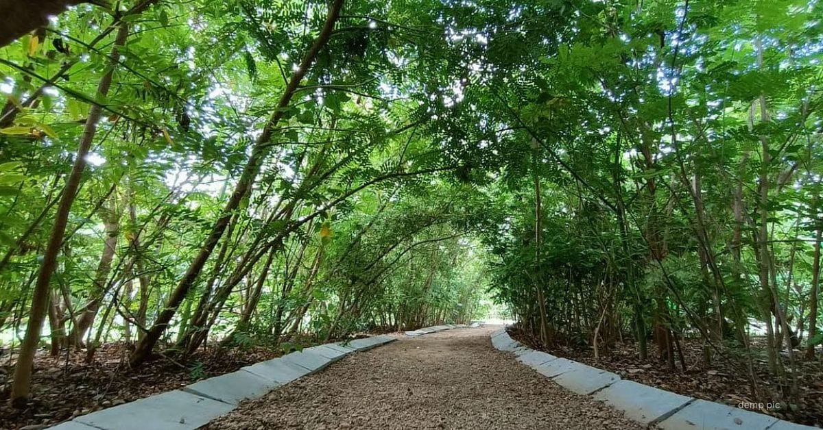 Bhopal: Oxygen park will be built in Bhopal on the lines of Gujarat, natural view will be available along with