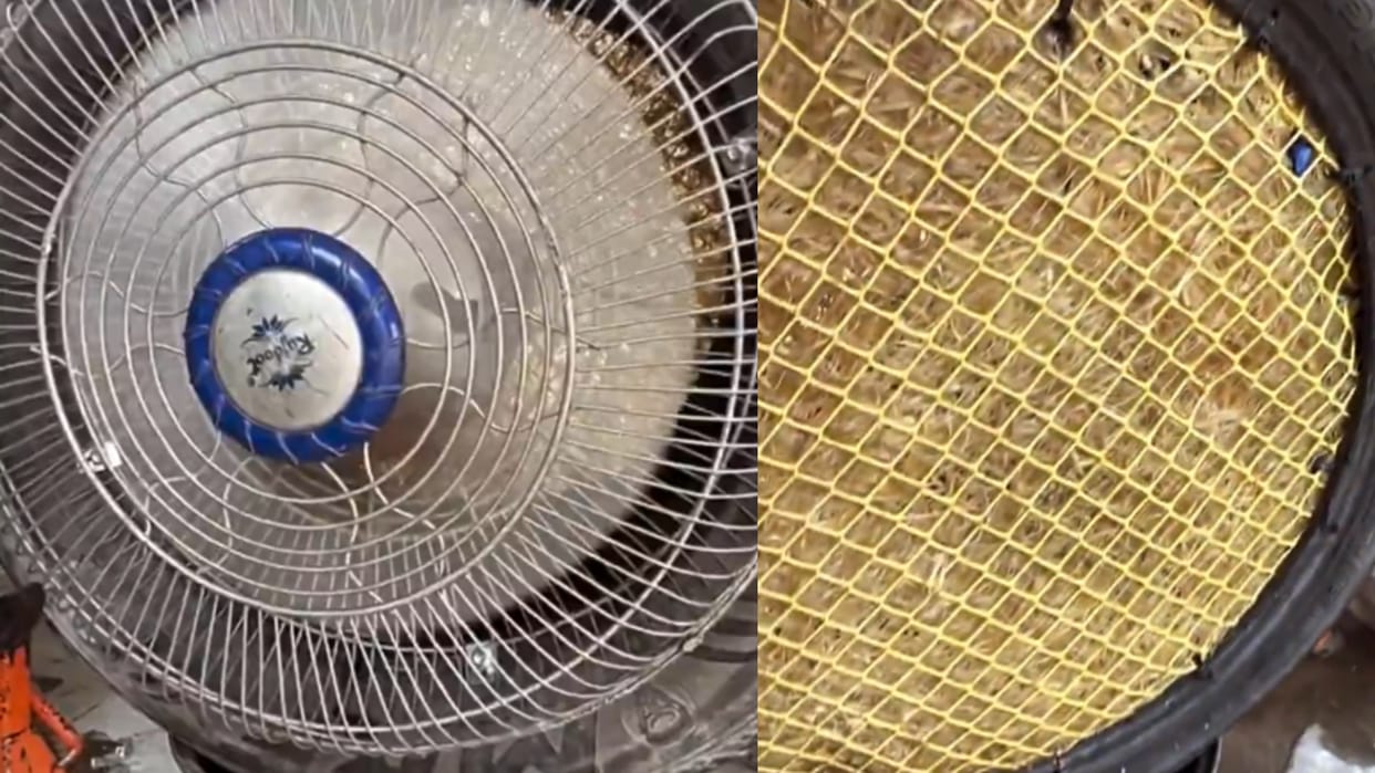 desi genius turns tyre and cooler pad into stand fan jugaad watch viral video