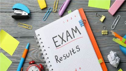 IBPS MT Result 2025 IBPS PO-15 Main Exam Result Declared Download Scorecard This Link