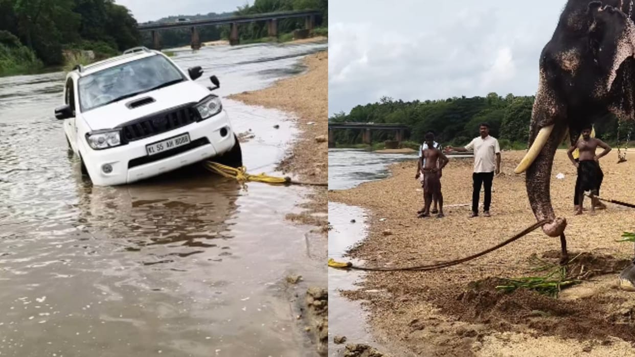 Kerala, Elephant Successfully pulls Over 2000 kg SUV from River in Palakkad Village, Video Viral