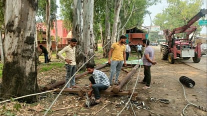 Saharanpur: A ten-minute storm created a storm, a young man died after getting buried under a tree