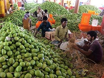UP: Lucknow's Dussehri will be in full swing, air space will be booked in advance; exports will be made to ma