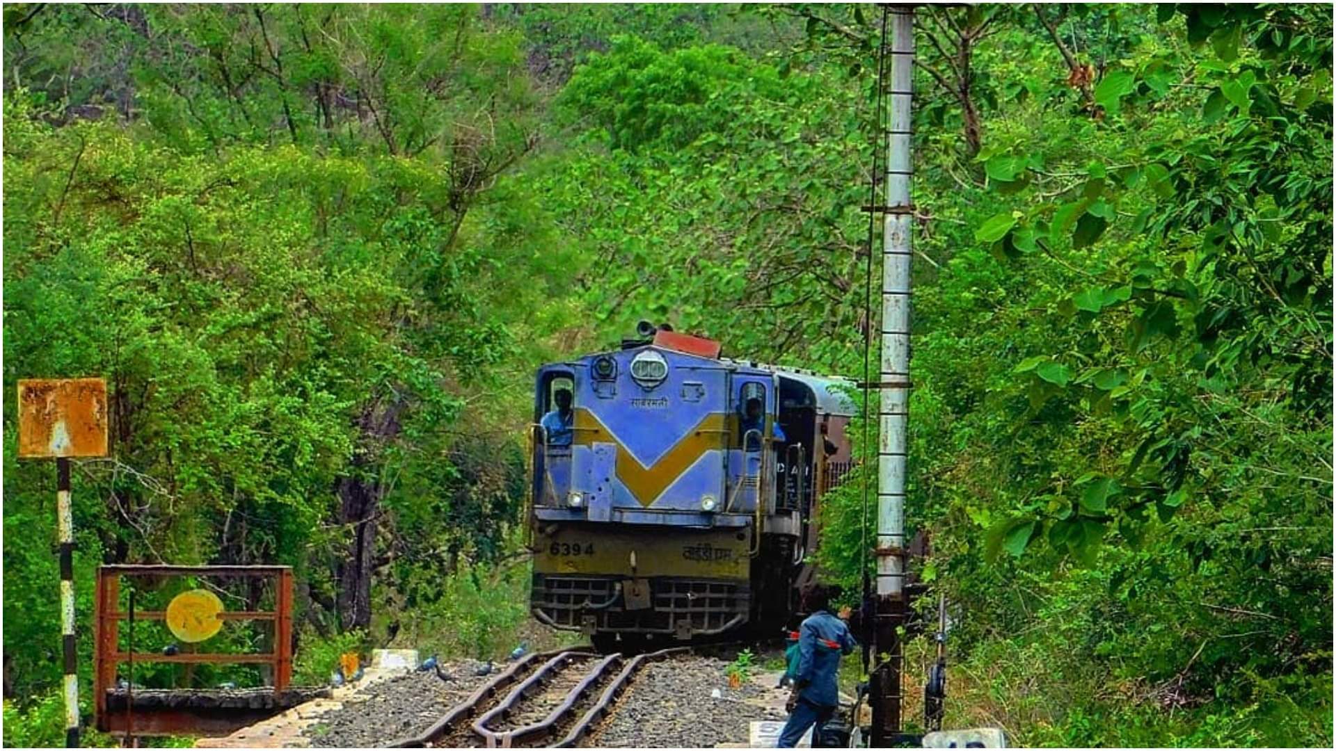 Vrindavan Trip for Banke Bihari Darshan How to Organize Perfectly Travel Tips