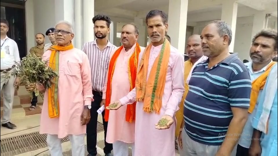 बेमौसम बरसात से मूंग की फसल बर्बाद