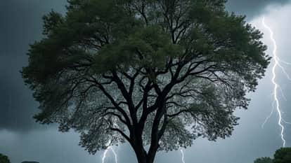 Western Disturbance Alters Weather Patterns Now Expect Storms Rain and Snowfall Until April 10