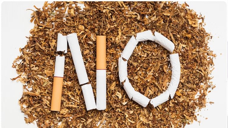 World No Tobacco Day: छत्तीसगढ़ के 19 हजार से ज्यादा शैक्षणिक संस्थान घोषित हुए तंबाकूमुक्त, अब ये टारगेट