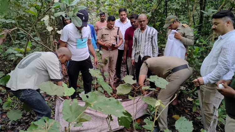 Dehradun: रायवाला के जंगल में पत्ते लेने गए दो युवकों पर जंगली जानवर ने किया हमला, एक की मौत, दूसरा घायल