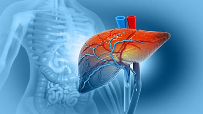 Fatty liver cases increased by 40 percent in Himachal junk food and spicy food are becoming the biggest reason