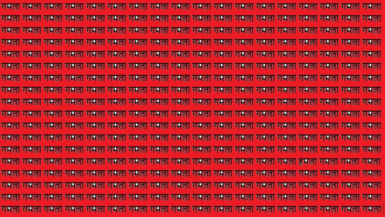 Optical Illusion Iq Test Brain Test Can You Spot Hamla in 15 Seconds
