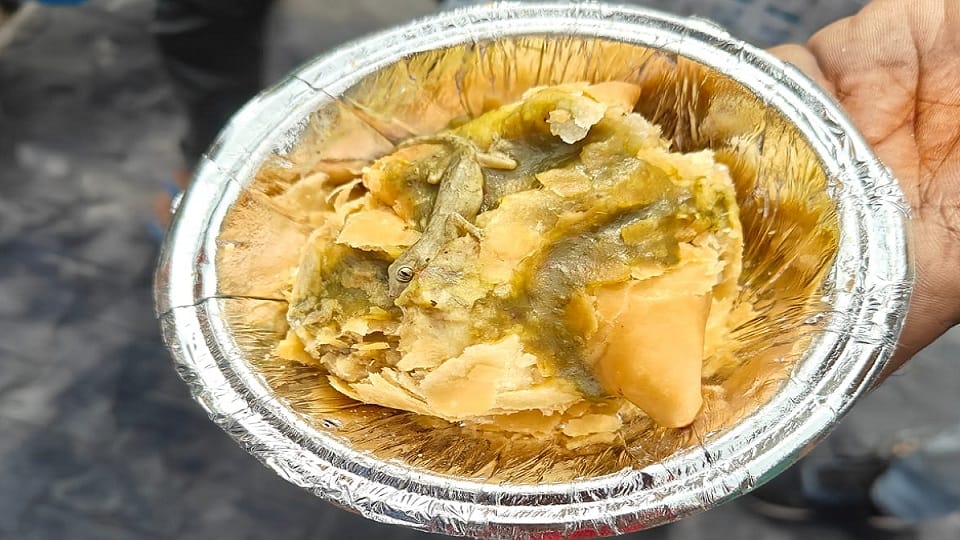 Dead lizard found inside samosa