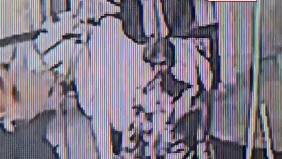 Man obscene act with cow in Karnal police case registered