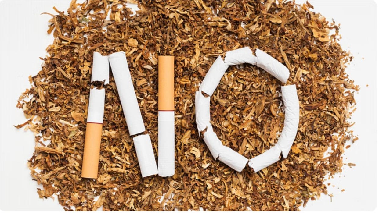 Indore News: 100 Schools Declared Tobacco-Free After Massive Awareness Campaign