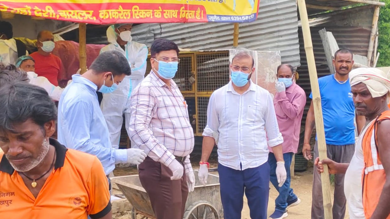 Bird flu found at a meat shop in Gorakhpur, 350 chickens buried - it was found earlier in a zoo
