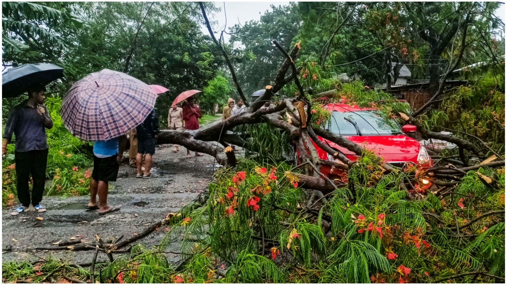 Heavy rains and landslides caused devastation in the Northeast, 19 died, more than 12 thousand people affected