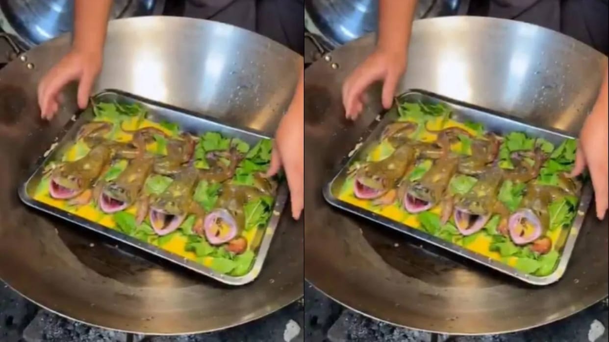 Have you ever seen a dish made of frogs When the woman showed the video people trolled her a lot