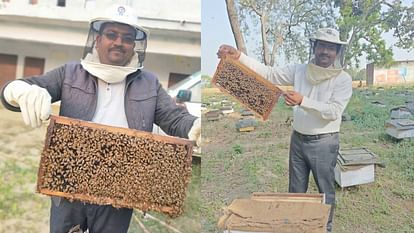 Shivchandra became businessman from farmer By doing beekeeping earning profit of eight lakh rupees annually