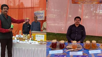 Shivchandra became businessman from farmer By doing beekeeping earning profit of eight lakh rupees annually