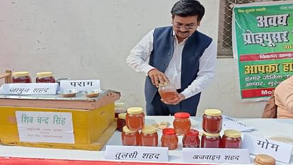 Shivchandra became businessman from farmer By doing beekeeping earning profit of eight lakh rupees annually